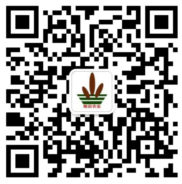 公衆号二維碼 公衆号二維碼