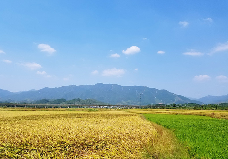 園區風光