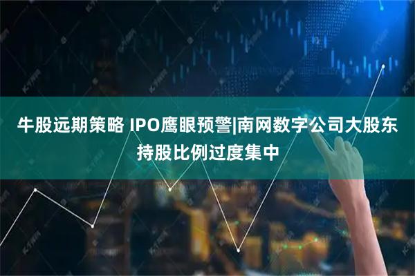 牛股远期策略 IPO鹰眼预警|南网数字公司大股东持股比例过度集中