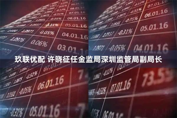 玖联优配 许晓征任金监局深圳监管局副局长