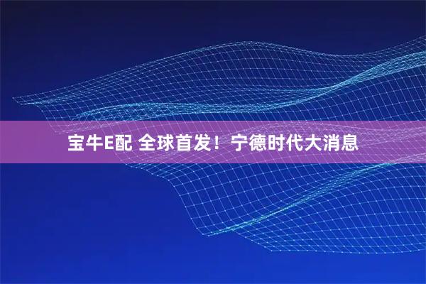 宝牛E配 全球首发！宁德时代大消息